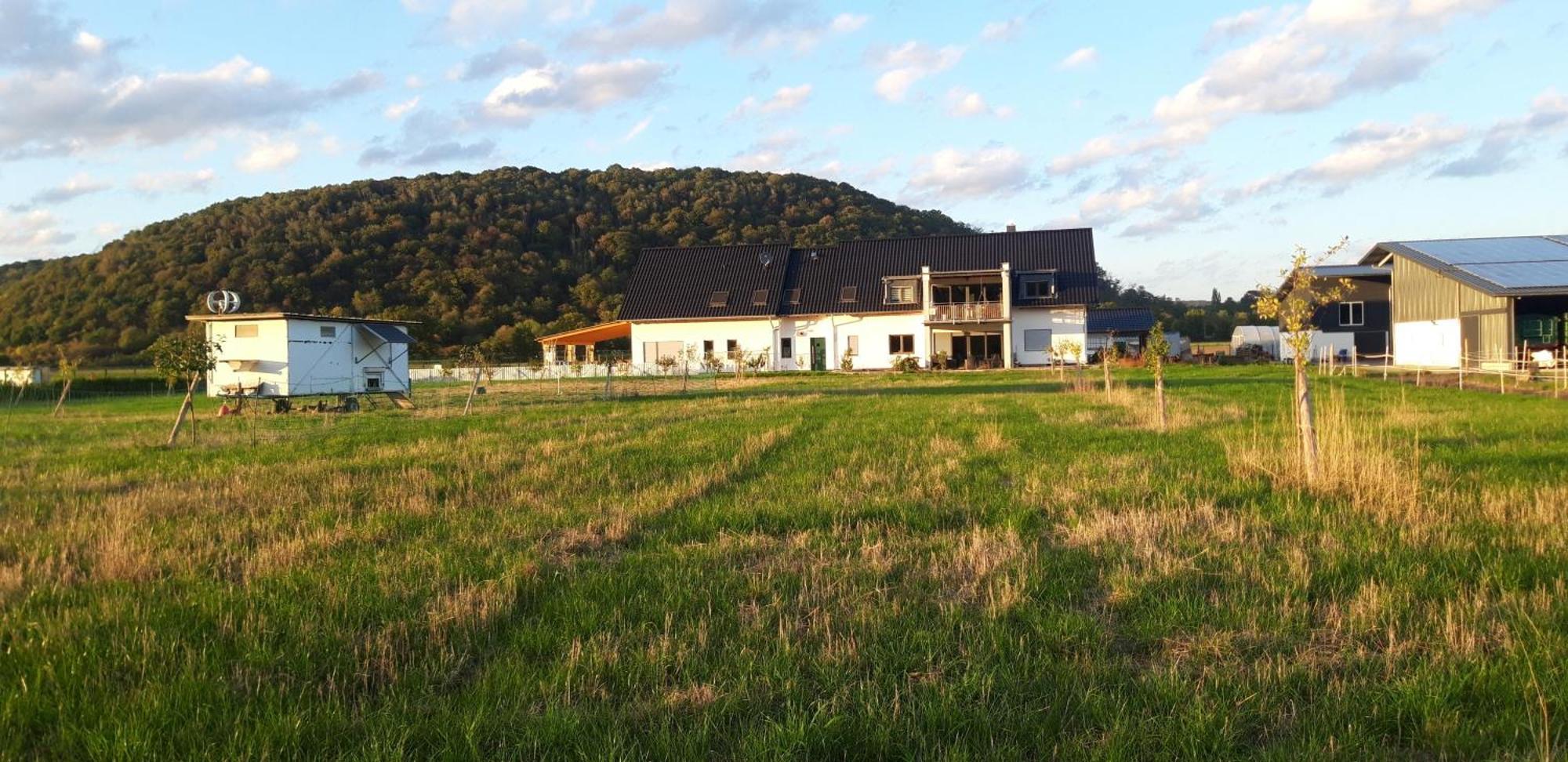 Ferienwohnung Wilhelmshof Sinzig Εξωτερικό φωτογραφία